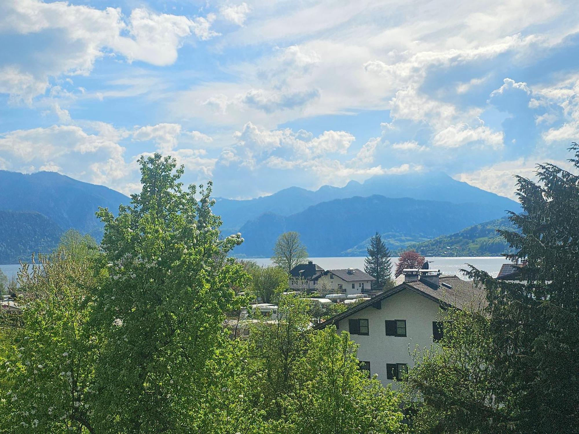 Ferienwohnung Attersee Steinbach am Attersee Ngoại thất bức ảnh